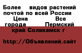 Более200 видов растений почтой по всей России › Цена ­ 100-500 - Все города  »    . Пермский край,Соликамск г.